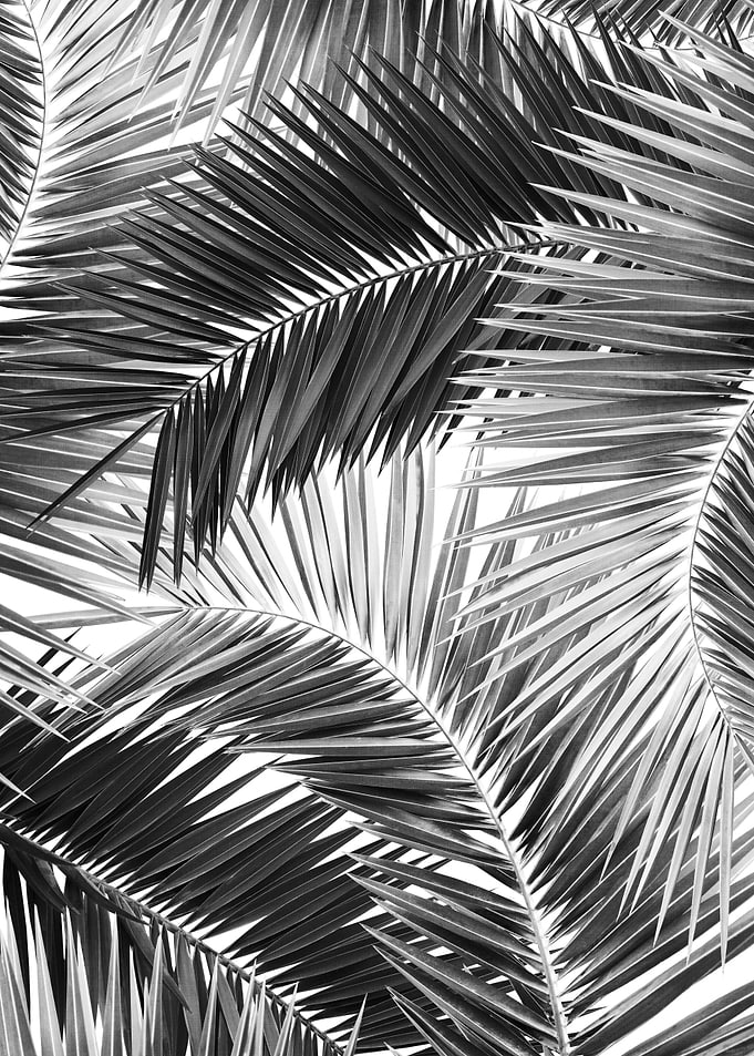 Palm Jungle Pattern 2