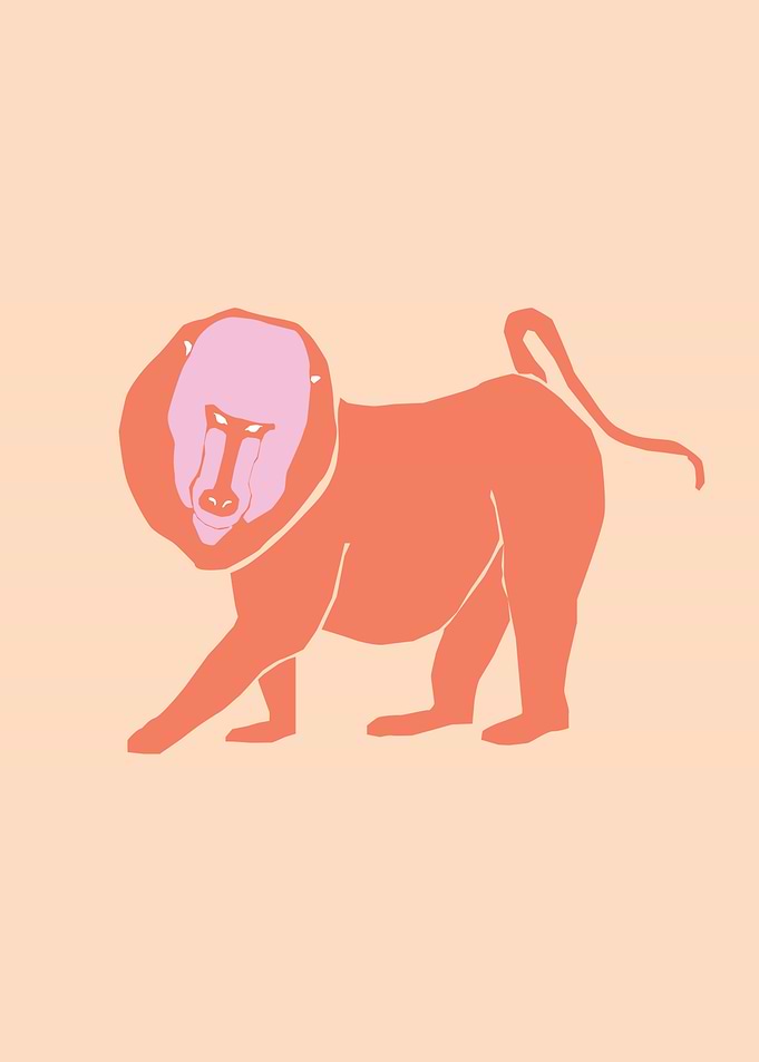 Forest Jungle Lion animal