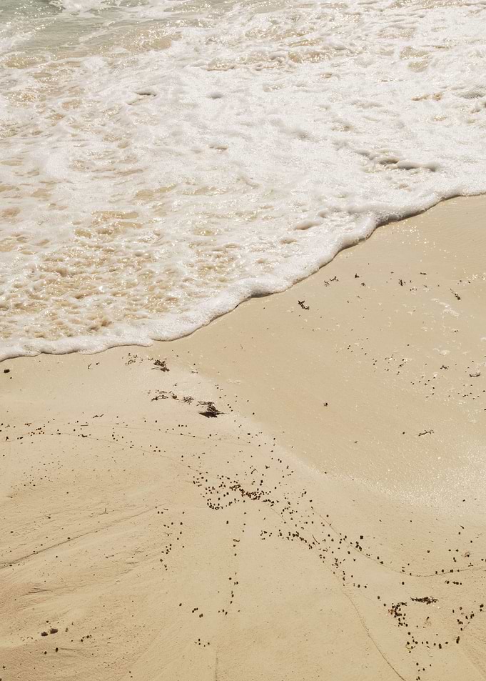 Mexican Ocean Beauty 3