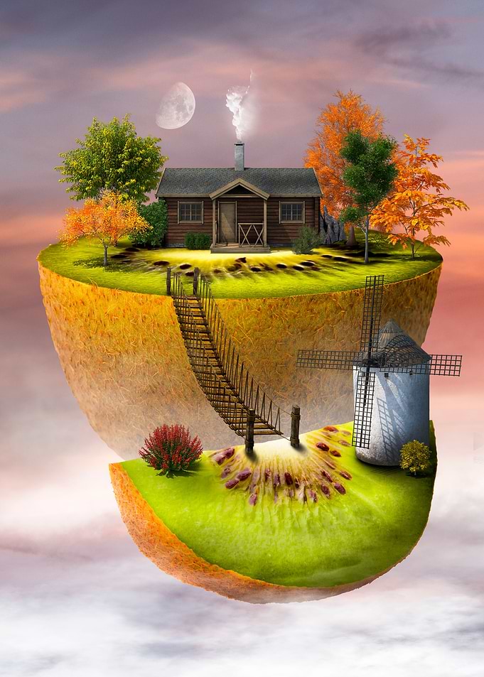 kiwi land