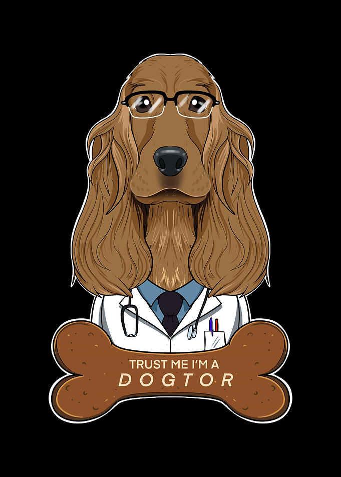 Veterinary Cocker Spaniel