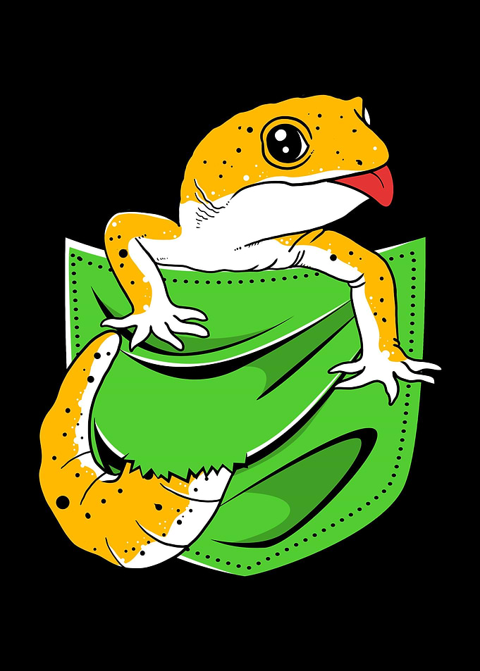 Leopard Gecko Pocket