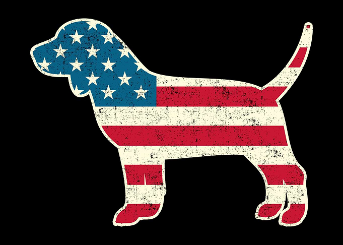 4th of July Beagle Dog USA