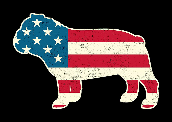 4th of July Bulldog Americ