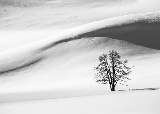 Scenic Snow Scape