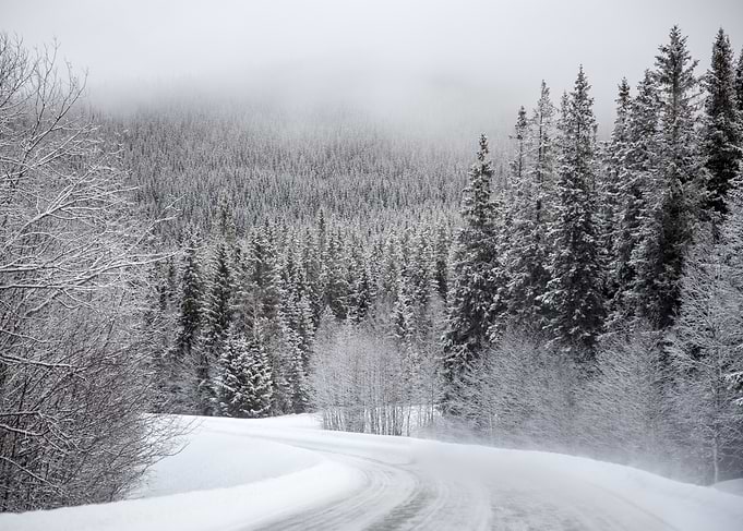 Winter Wonderland