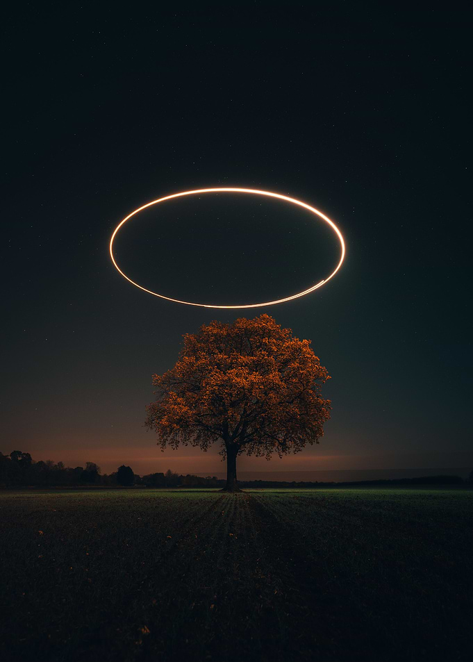 The Lone Tree