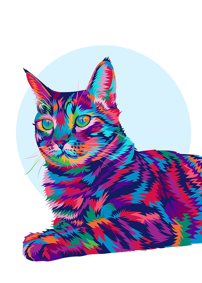 Colorful Tabby Cat