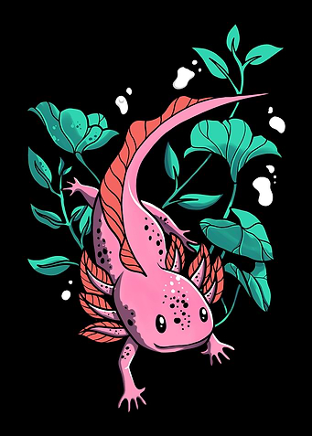 Axolotl Salamander