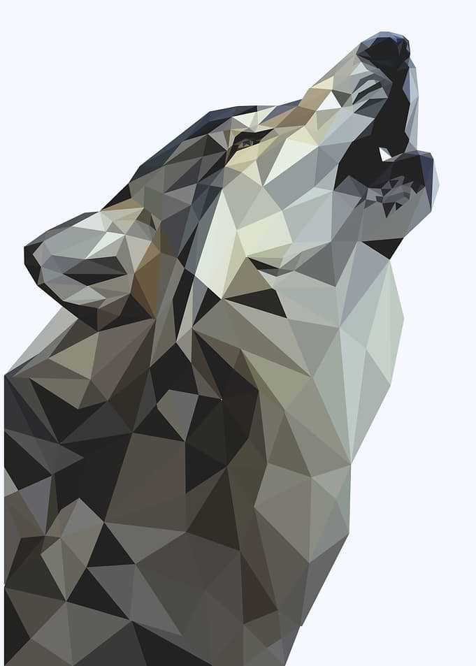 The wolf