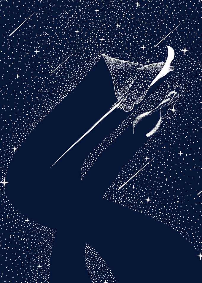 Star Collector and Diver