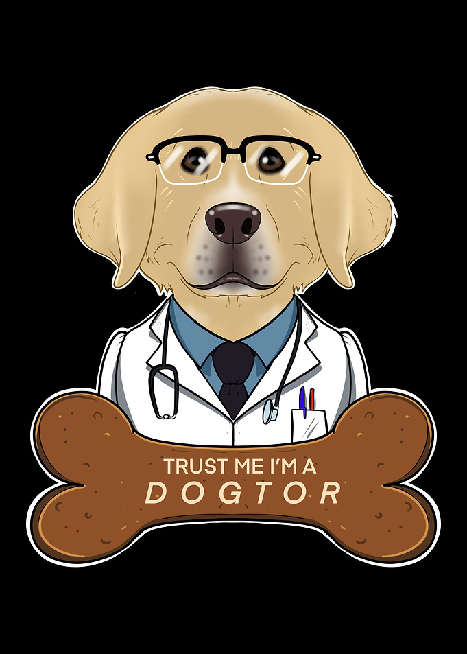 Veterinary Labrador Dogtor