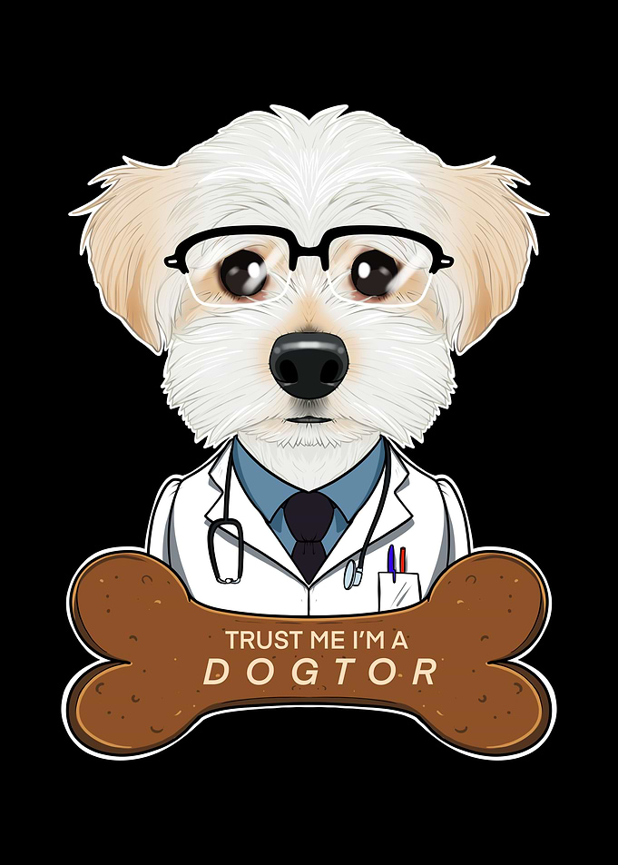Veterinary Maltese Dogtor