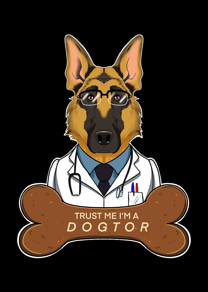 Veterinary German Shepherd