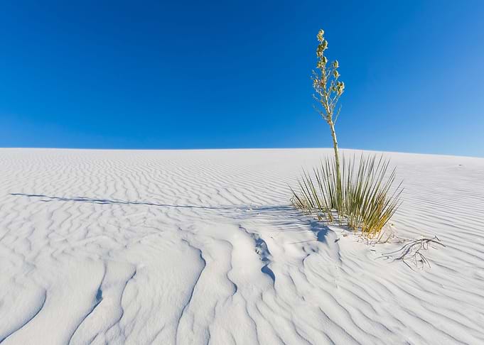 White Sands Impression