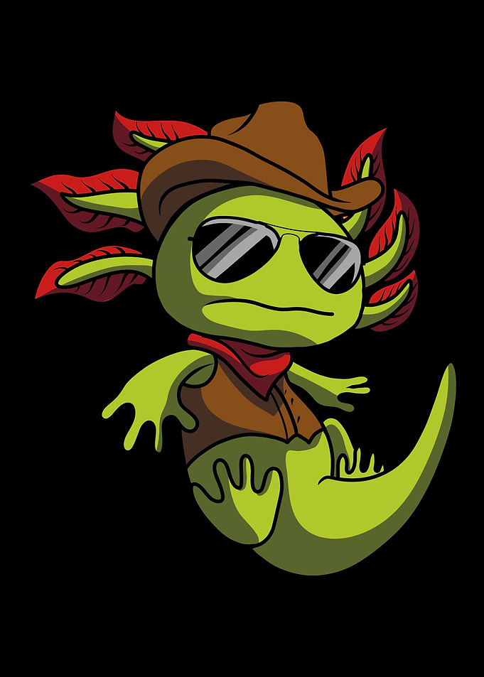 Axolotl Salamander
