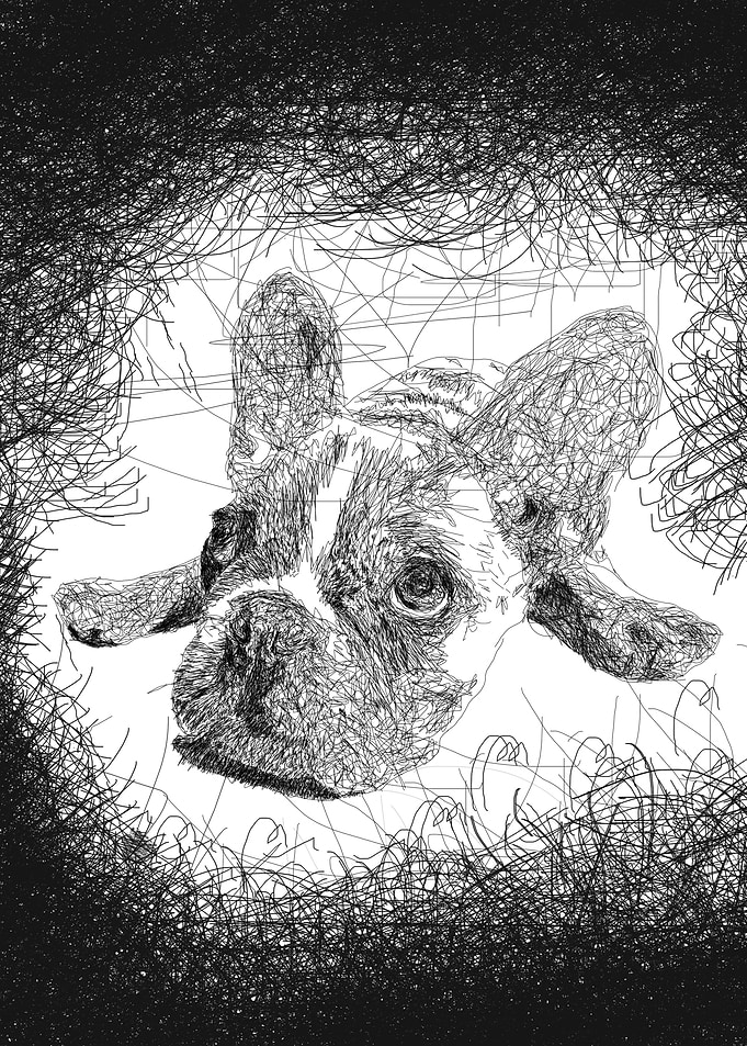 Dog Scribble Art