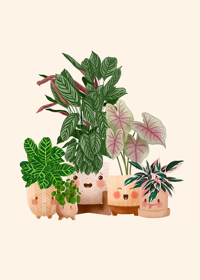 Happy Plants 3