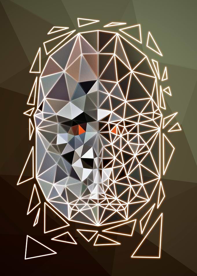 Geometric gorilla