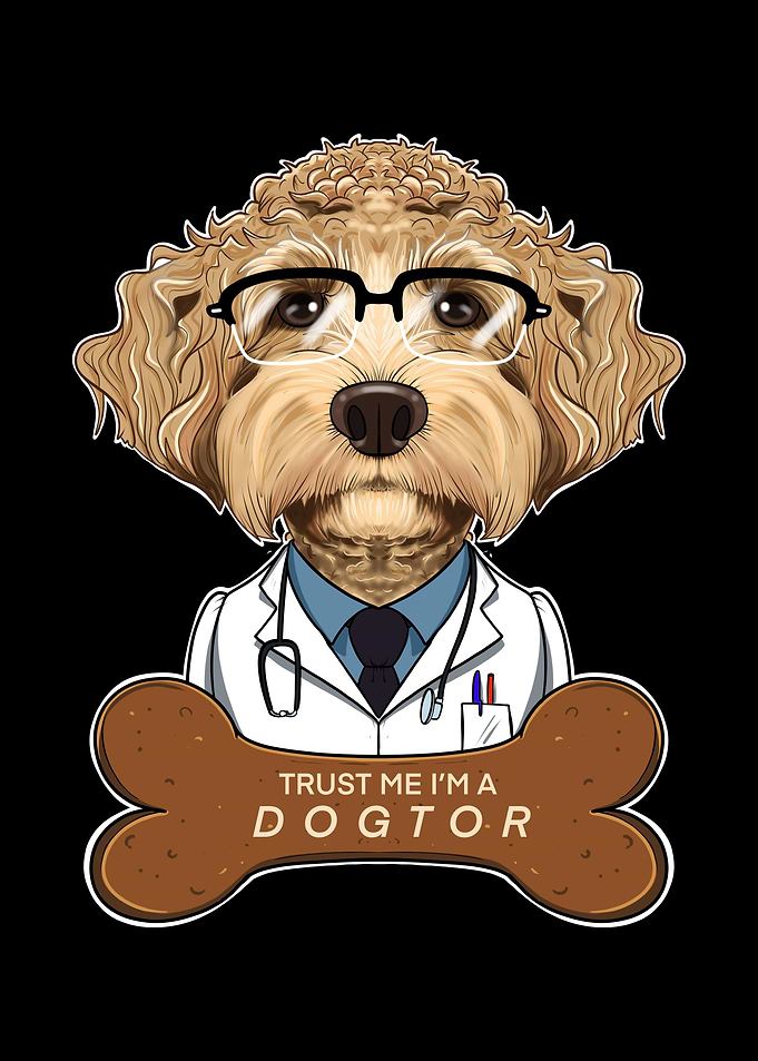 Veterinary Labaradoodle