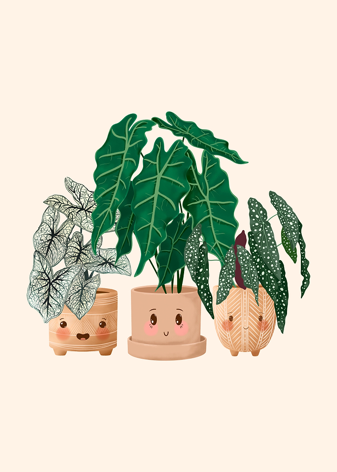 Happy Plants Club 6