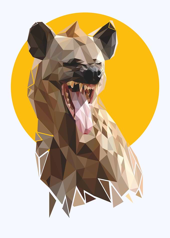 hyena animal