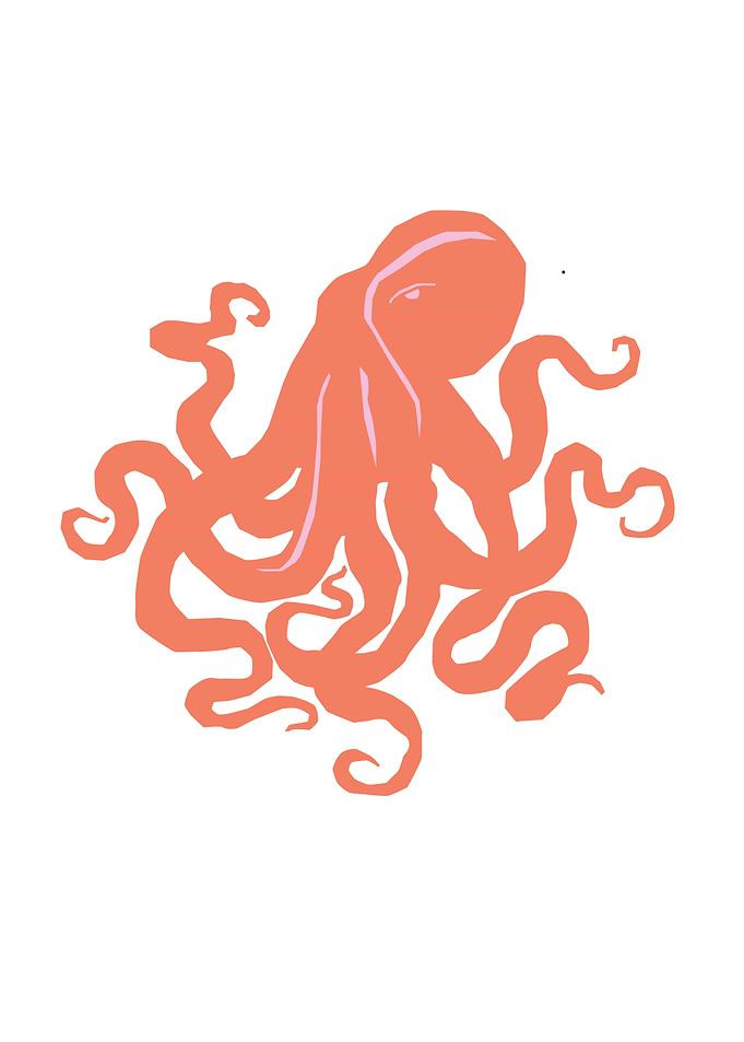 Sea animal Octopus