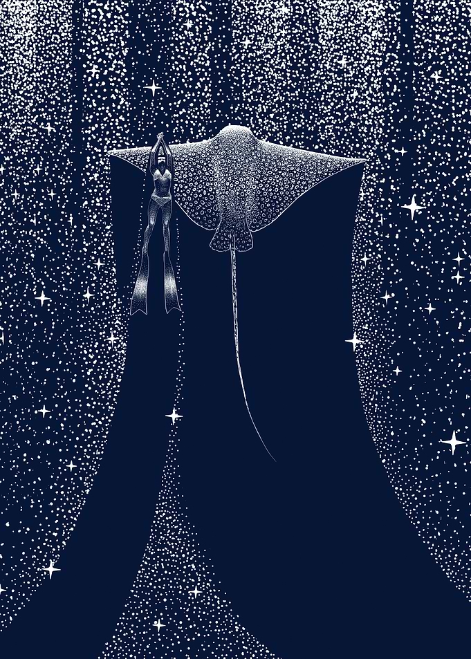 Star Collector And Diver V