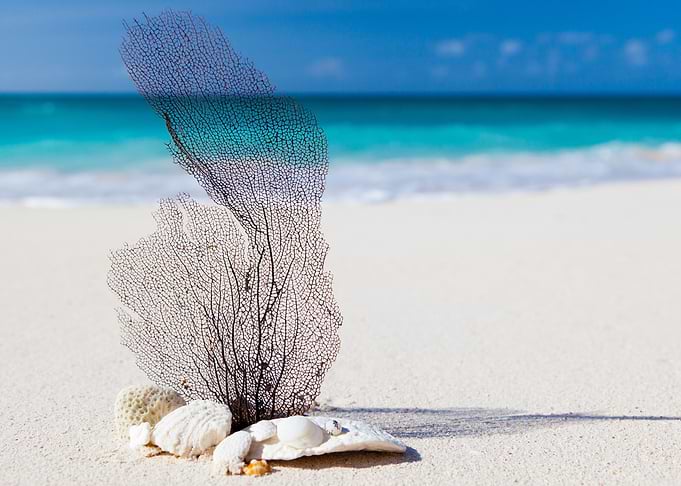 Beach Art