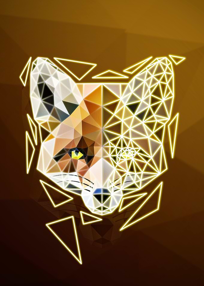 Geometric fox