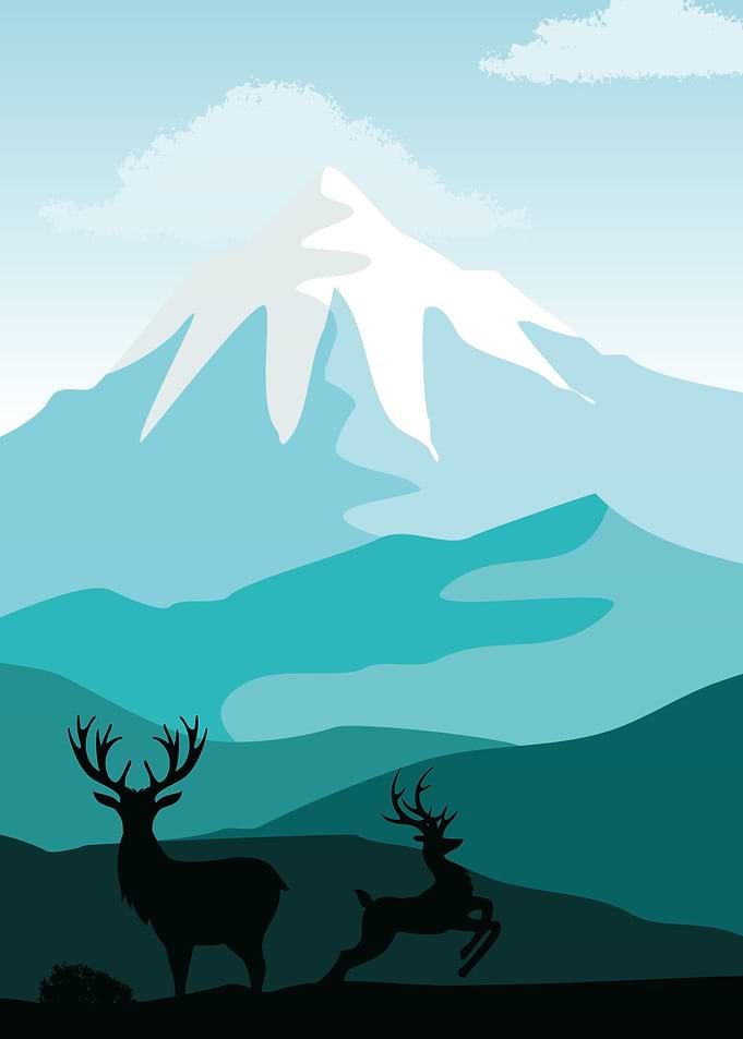 Deer animals blue mountain