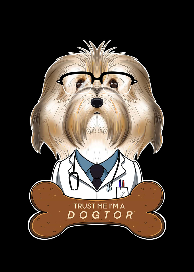 Veterinary Havanese Dogtor