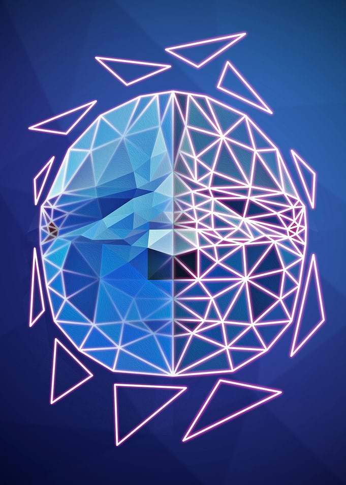 Geometric Dolphin