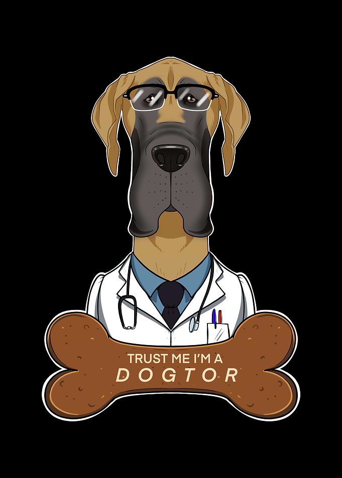 Veterinary Great Dane