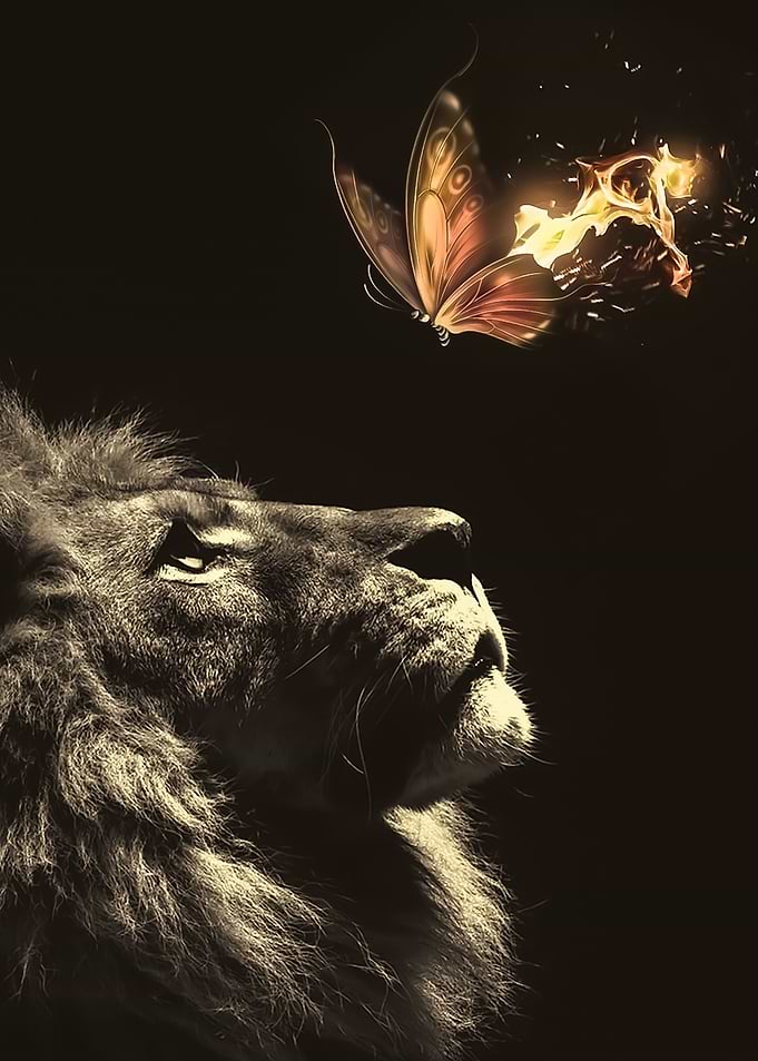 Lion Burning Butterfly