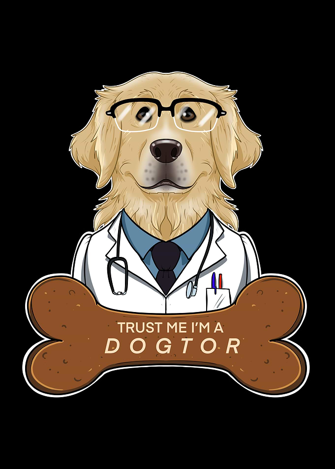 Vet Golden Retriever