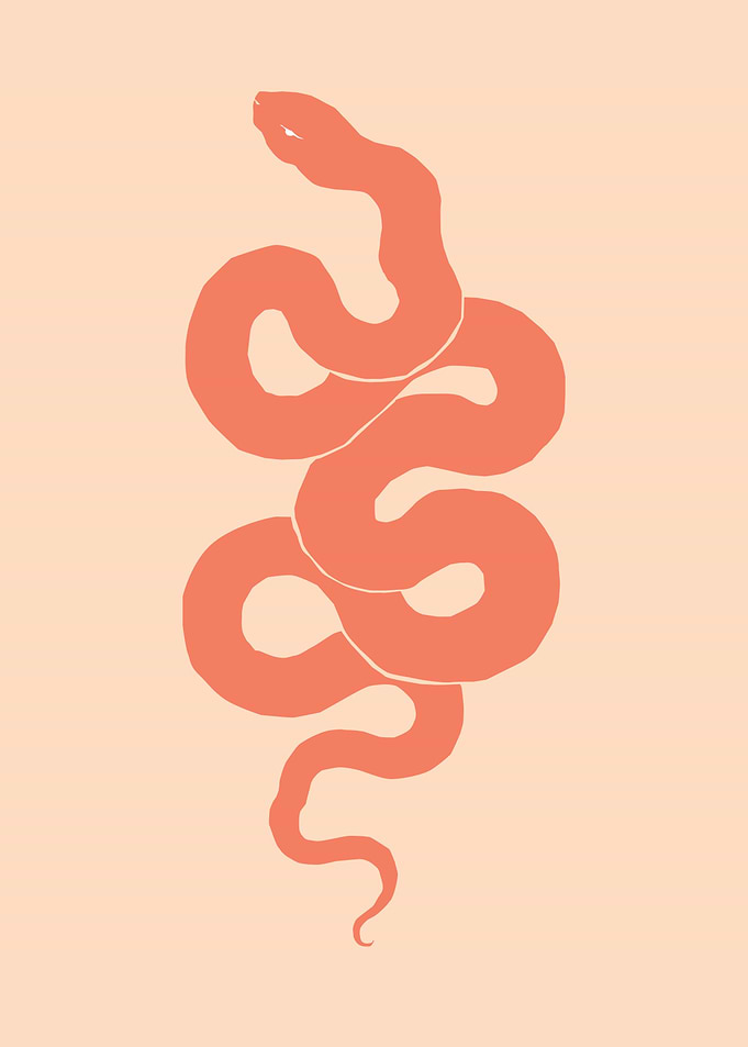 Nature Snake zoo animal