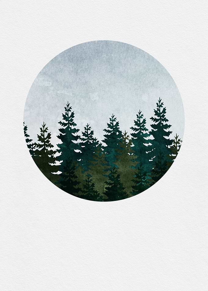Evergreen