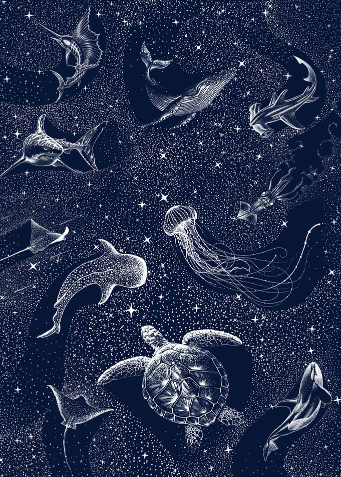 Cosmic Ocean