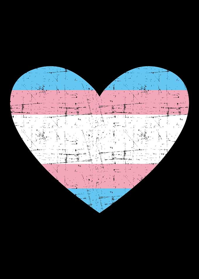 Heart with transgender fla