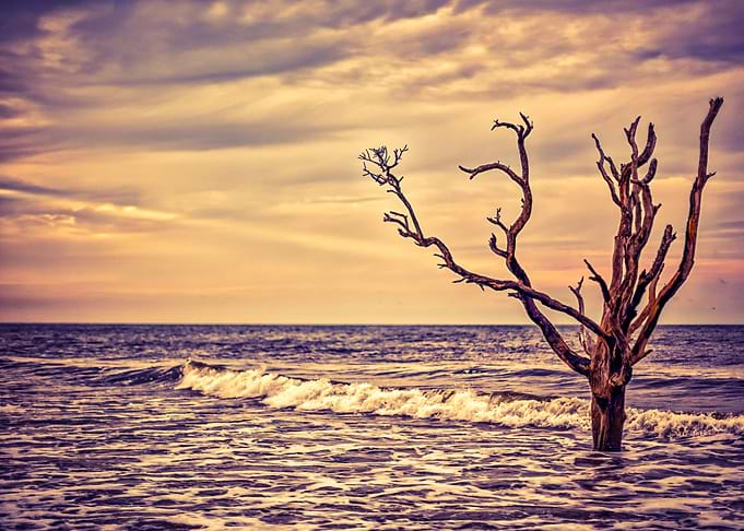 Botany Bay