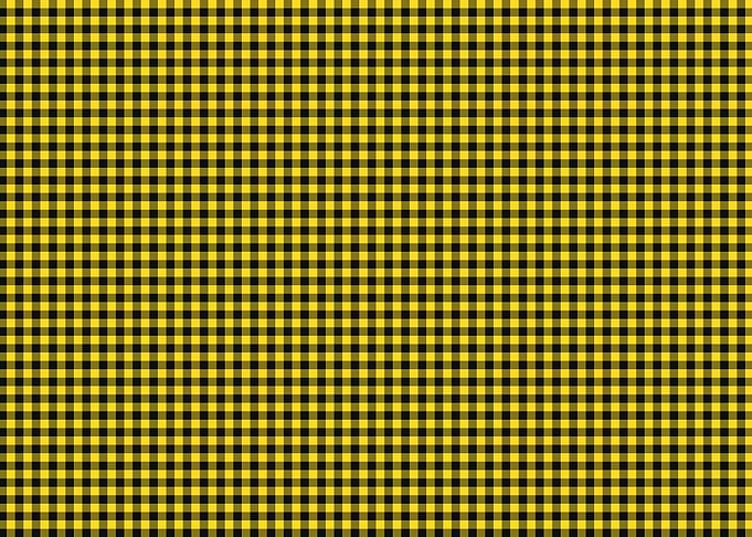 Plaid texture fabric black