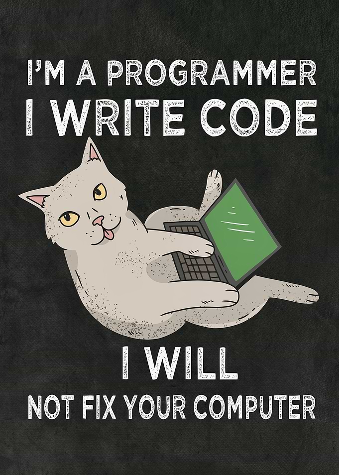 Funny meme cat programmer