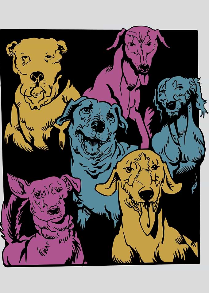 dogs puppy pet cute animal