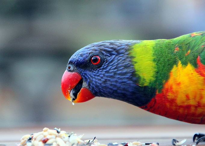 Snack time