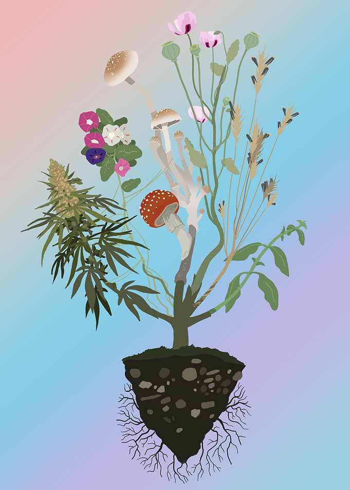 Nature s Healers