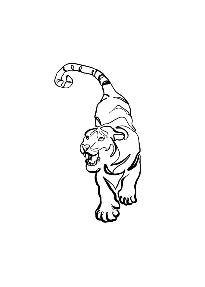 Tiger line art