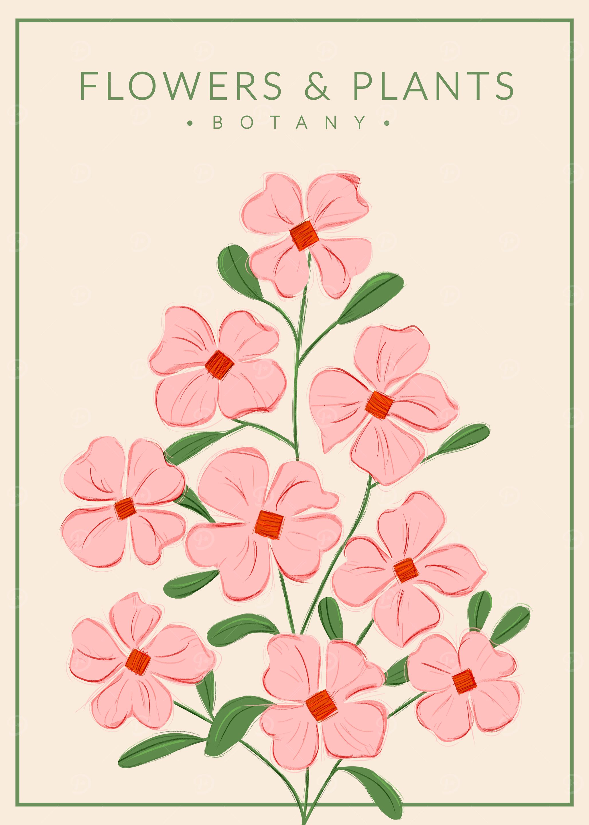 Soft Pink Flowers Botany