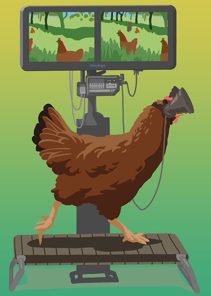 Cockulus Rift