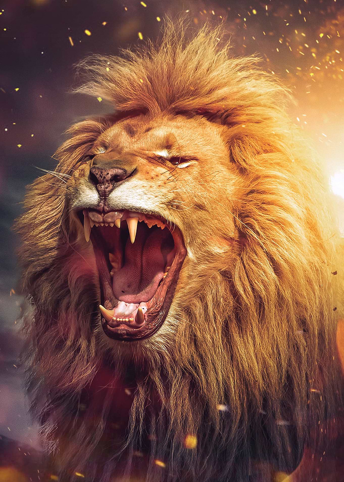 Lion Power